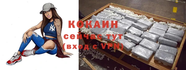 хмурый Алзамай